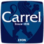 Ecole Lyon Carrel 