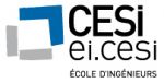 Mastère responsable de la chaîne logistique globale EI.CESI Nanterre