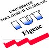 Licence Pro Plasturgie et matériaux composites - IUT de Figeac IUT de Figeac