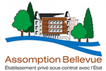 Lycée Assomption-Bellevue - Lyon 