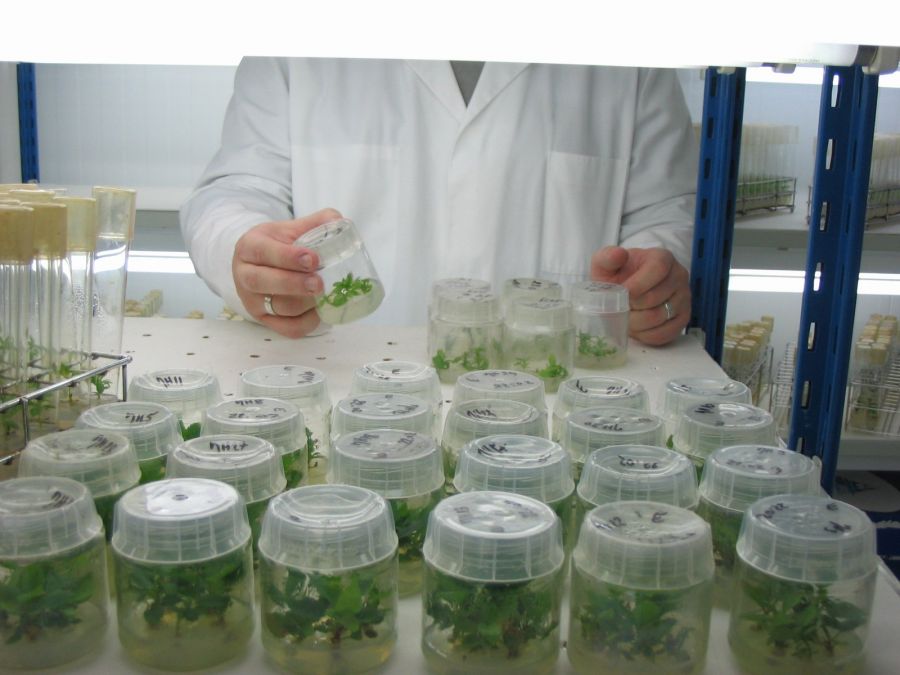 Agrocampus Ouest (5)