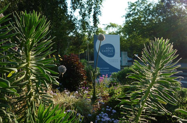 AgroCampus Ouest, Campus Angers (4)
