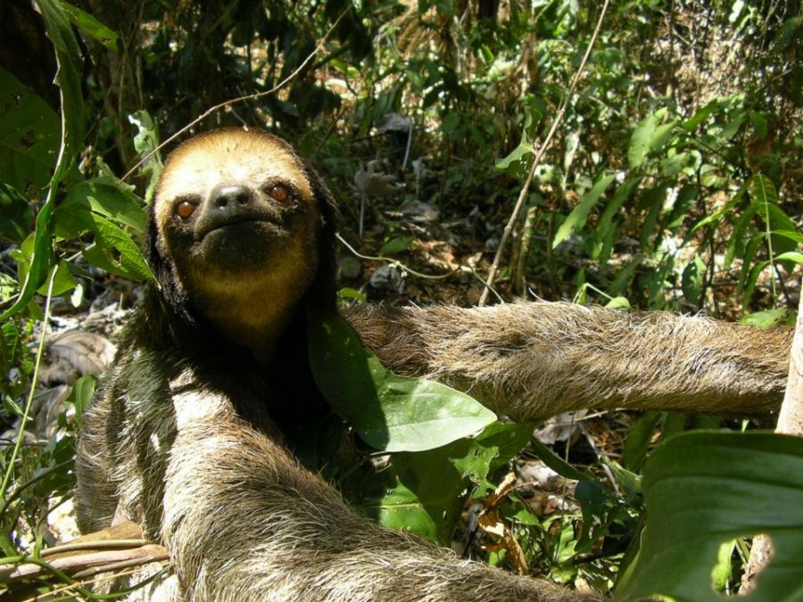 ArgoParisTech Centre de Kourou (3)