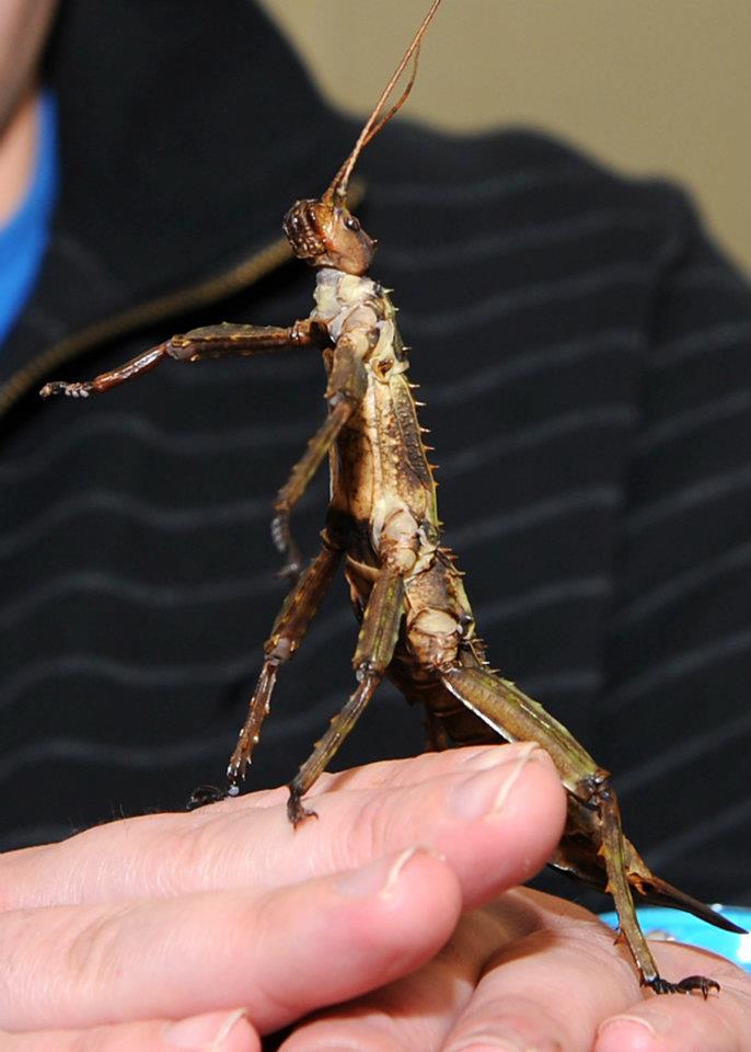 Askham Bryan College (1)