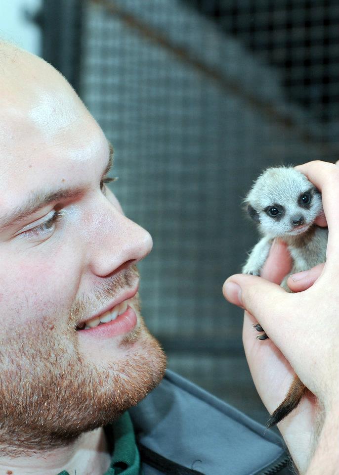 Askham Bryan College (4)