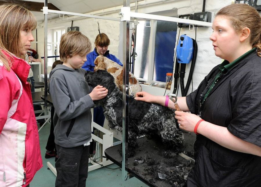 Askham Bryan College (5)