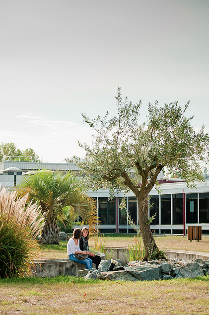 BEM Management School (3)