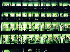 Birkbeck, University of London (3)