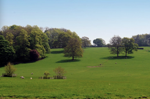 Bishop Burton College (3)