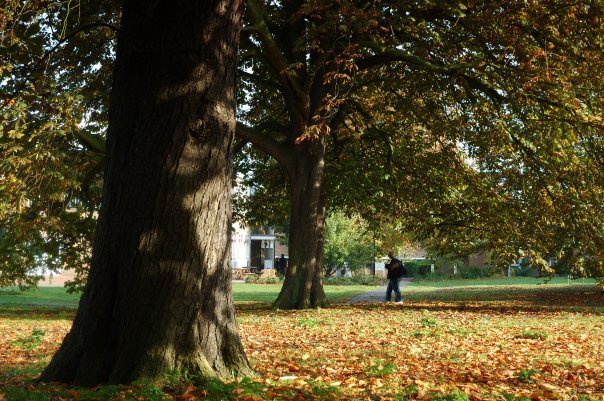 Bishop Grosseteste University College Lincoln (3)