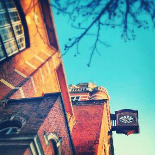 City University London (1)