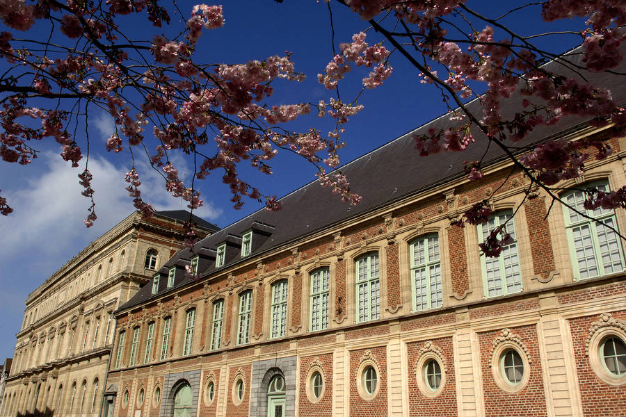 Conservatoire  Rayonnement Dpartemental Valenciennes