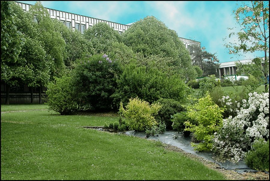 Jardin du dpartement Sant Publique - Universit de Rennes I