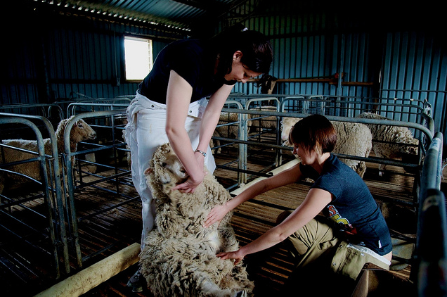 La Trobe University (3)