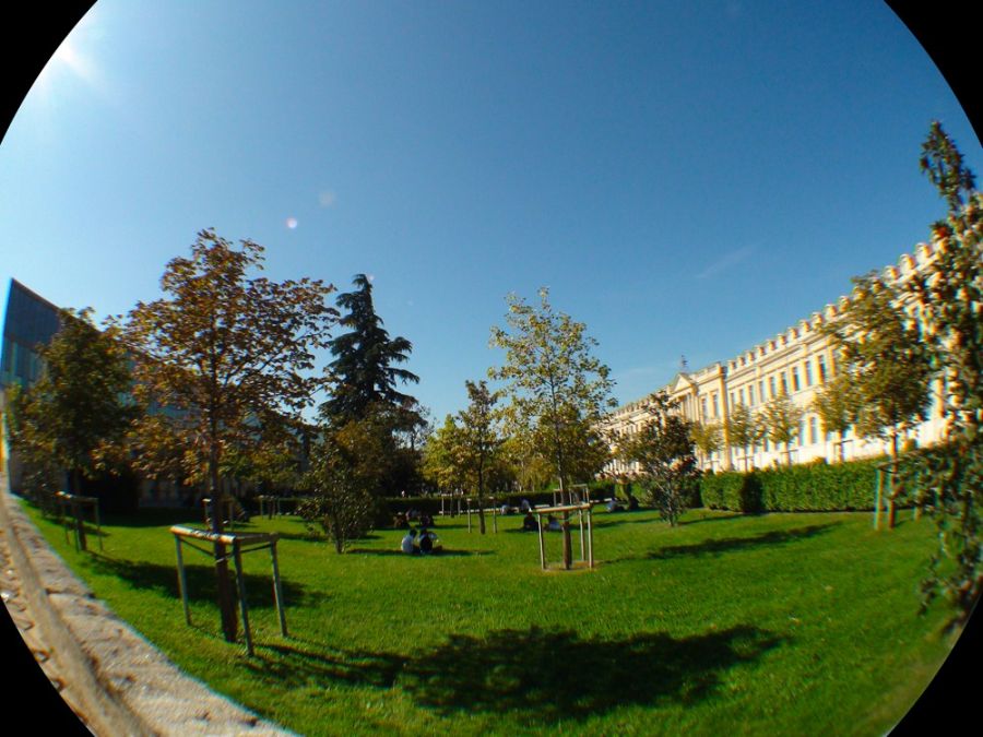 Parc du campus Centre-ville - Universit d'Avignon et des Pays de Vaucluse