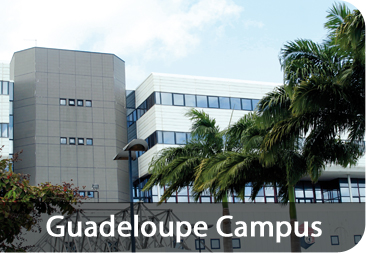 SUPINFO Campus de Guadeloupe