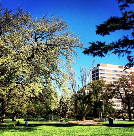 Swinburne University of Technology (5)