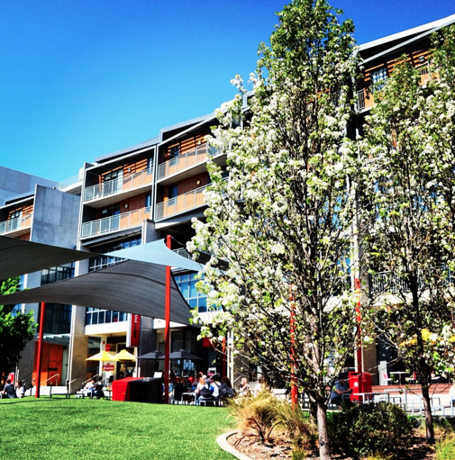 Swinburne University of Technology (9)