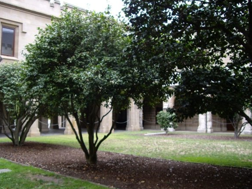 The University of Melbourne (7)