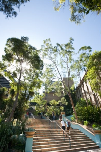 The University of New South Wales (4)