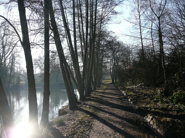 University of Reading (4)