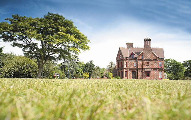 University of Reading (11)