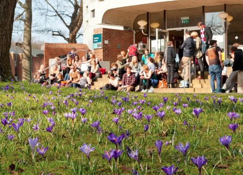 University of Sussex (4)