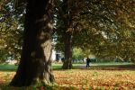 photo Bishop Grosseteste University College Lincoln (3)