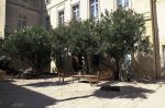 photo ENPA d'Arles