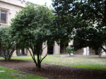 photo The University of Melbourne (7)