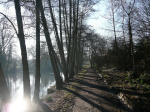 photo University of Reading (4)