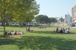 photo Vue sur le jardin du Campus de l'Universit Bordeaux I