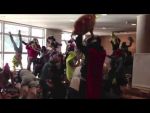 vid&eacute;o Harlem Shake Sciences Eco Montpellier
