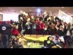 vidéo Harlem Shake UPI Lyon