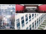 vidéo Prsentation de l'universit Paris-Dauphine