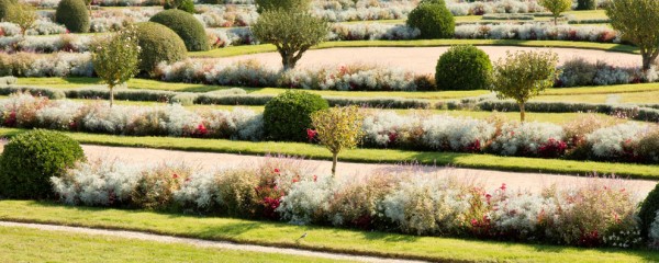 Jardins et fleurs