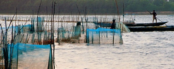 Pêche et aquaculture