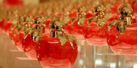 BAC pro Esthtique cosmtique parfumerie : programme, dbouchs et poursuite d'tude