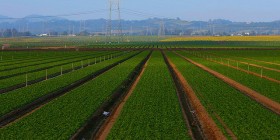 Industrie agroalimentaire : guide des �coles et formations